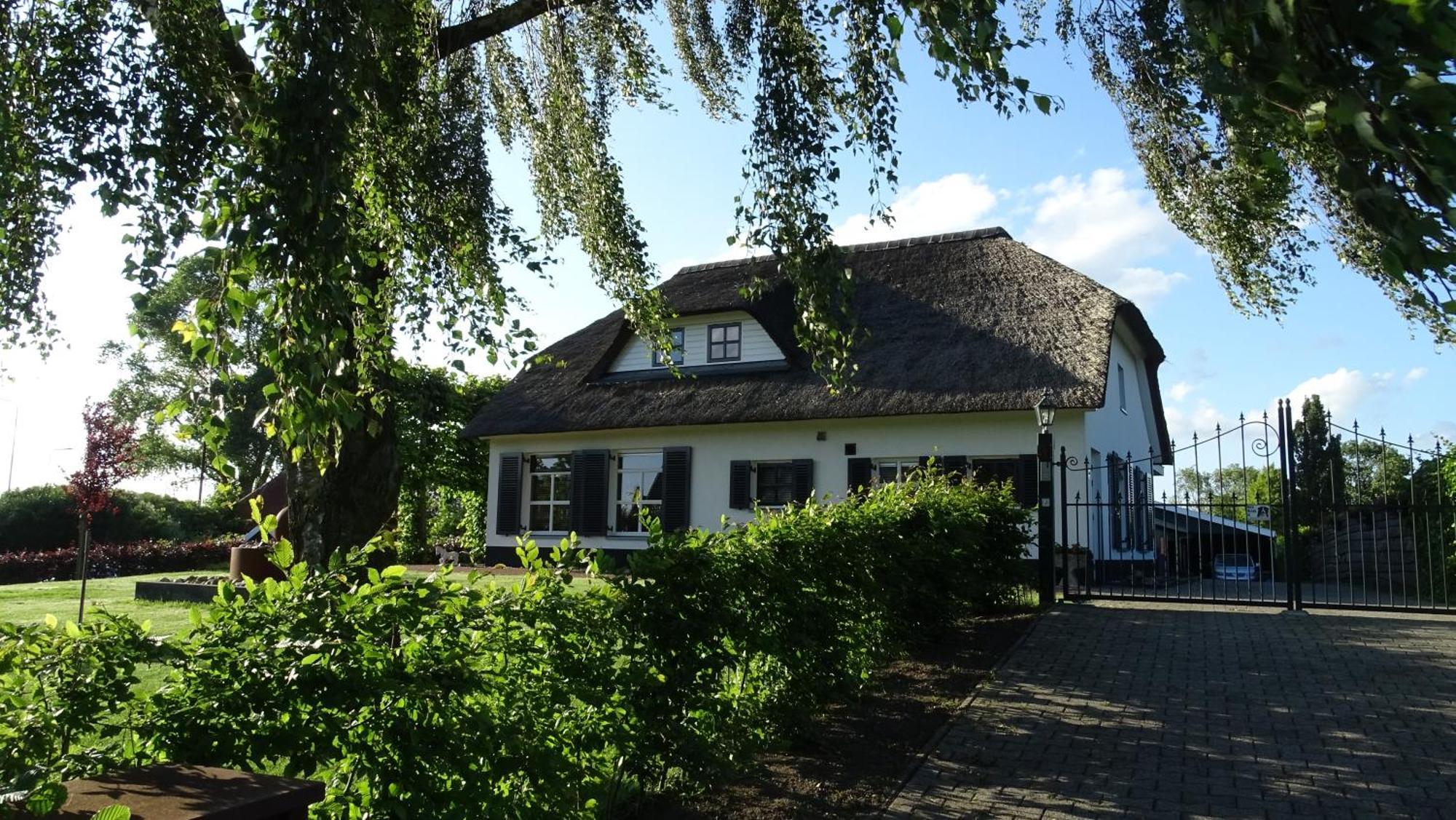 Mimosa Bed & Breakfast In Ijsselmuiden Eksteriør bilde
